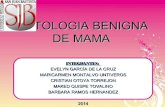 Patologia benigna de mama (1)