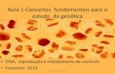 Conceitos   metab controle fev2013