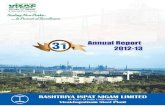 Annual report 2012 13 (english)