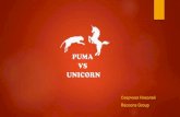 Unicorn vs-puma