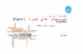 Expert systemes