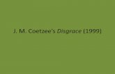 J. M. Coetzee's Disgrace