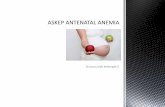Askep antenatal anemia