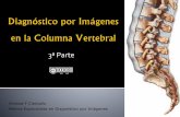 Columna_diagnostico lesiones traumaticas