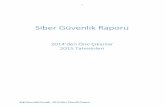 2014 Siber Güvenlik Raporu - BGD