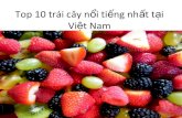 TOp 10 trái cây nổi tiếng nhất Việt Nam