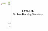 HKG15-402: Orphan hacking sessions