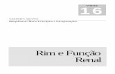 rim e função renal