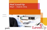 PwС Level UP Case championship 2015 - home task