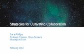 Strategies for Cultivating Collaboration