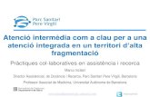 Marco Inzitari - ParcSanitari Pere Virgili: Atenció intermèdia com a clau per a una atenció integrada