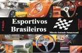 Marcio antonio-sonnewend-esportivos-brasileiros