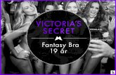 Victoria's Secret Fantasy Bra