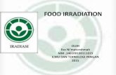 Food irradiation effect to microbial (eva n)