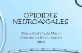 Opioides neuroaxiales