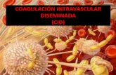 Coagulación intramuscular diseminada