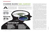 Pabrik baru sel saraf (liputan iptek majalah tempo 8 juni 2014) dr taruna ikrar