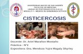 Cisticercosis Diplomado PPGESS