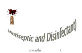 Antiseptic and disinfectant (2)