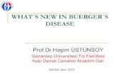 What`s new in buerger`s disease