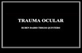 Semiología de trauma ocular