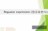 정규표현식 Regular expression (regex)