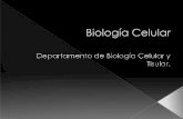 Biología celular.