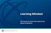 What is Learning Mindset?