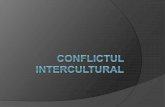 Conflictul intercultural