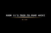 Room 11 s trip to puke ariki