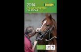 Dearson Equine 2014 Charity Calendar