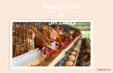 poultry sector in Srilanka