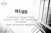 Nigg Digg Clone Script