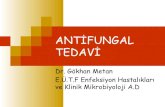 Antifungal tedavi (fazlası için  )