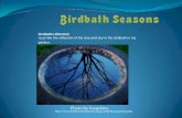 Birdbath seasons