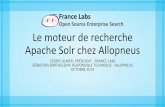 Apache Solr pour le eCommerce chez Allopneus avec France Labs - Lib'day2014