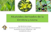 Alcaloides derivados de la ornitina y lisina por Q.F. Marilú Roxana Soto Vásquez