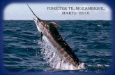 Fisketur til Mozambique, marts 2010