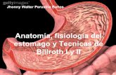 Anatomia del estomago, Billroth I y II