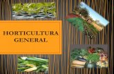 Horticultura general