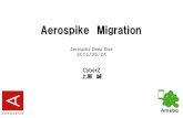 Aerospike deep dive migration