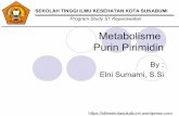 Metabolisme Purin Primidin