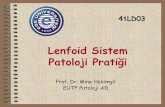 Lenfoid sistem patolojisi (3)