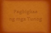 PANIMULANG LINGGWISTIKA : Ang Pagsasalita