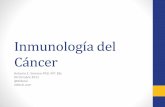 Curso Inmunologia 15 Inmunologia del cancer