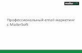 Профессиональный email маркетинг от MailerSoft