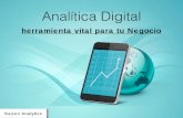 Analítica Digital Herramienta Vital Para Negocios.