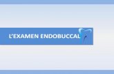 Examen clinique endo buccal en Parodontologie