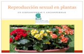 Reproducción sexual en plantas
