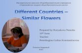 Different countries – similar flowers